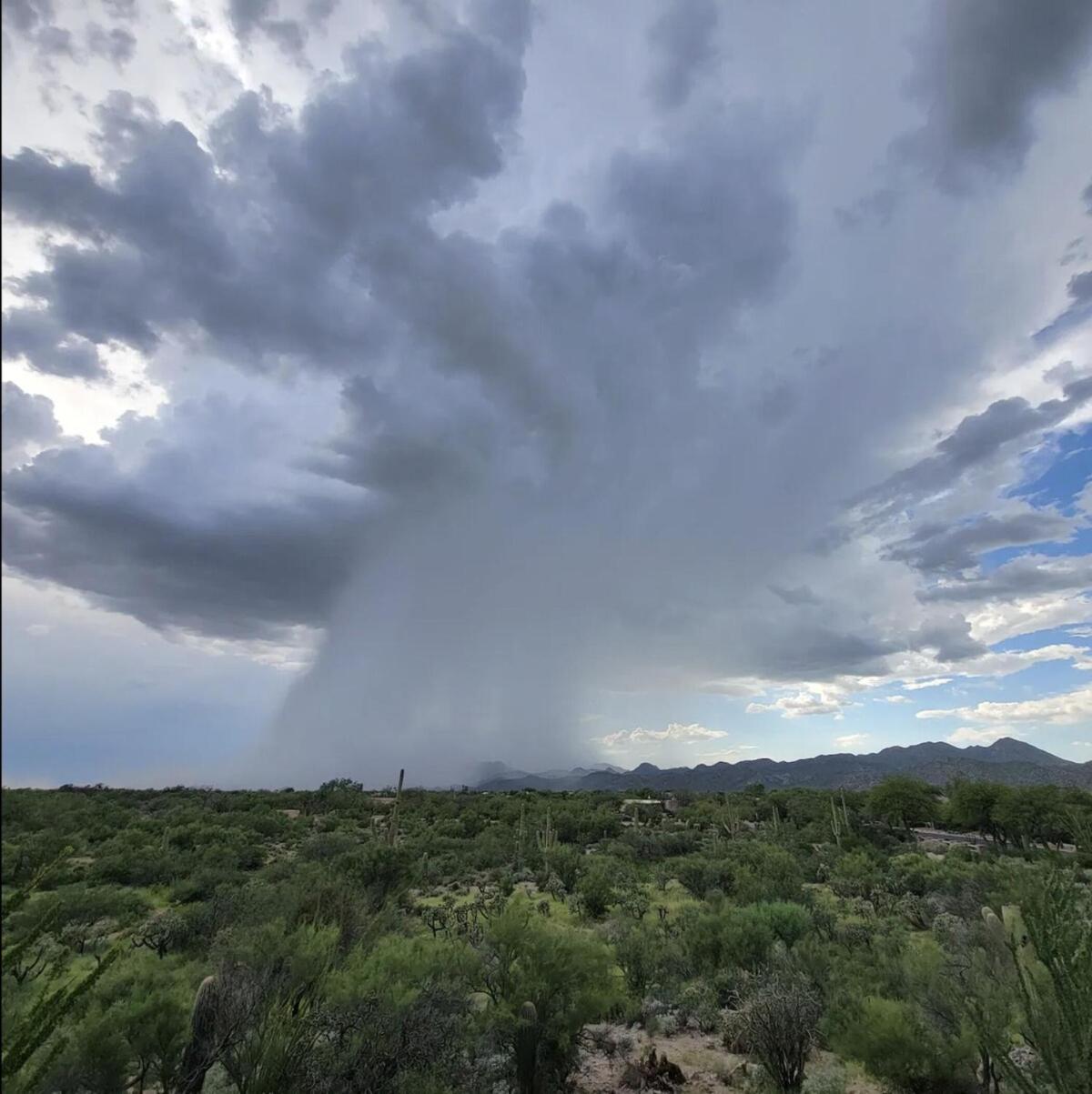 Luxury 3Bd 2Ba Home Near Tucson With Desert Views - Low Summer Rates! Oro Valley Bagian luar foto